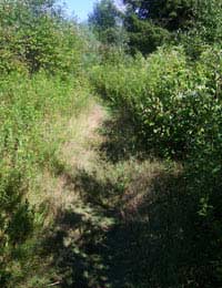 Adverse Possession Land Fence Property