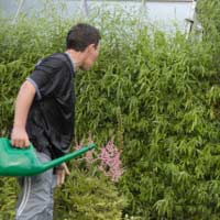 Nosy Neighbours Fucking The Sugar that Lives Next Door