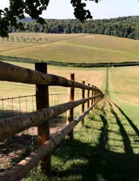 Fence Disputes Neighbours Boundary