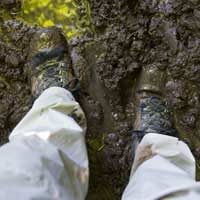 Neighbour Dog Poo Fouling Letter Clean